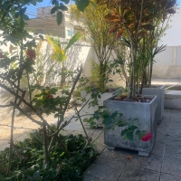 Venda de Casa em Laranjeiras em Valença-RJ