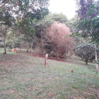 Venda de Chácara em Osório em Valença-RJ