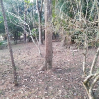Venda de Chácara em Osório em Valença-RJ