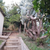 Venda de Chácara em Osório em Valença-RJ